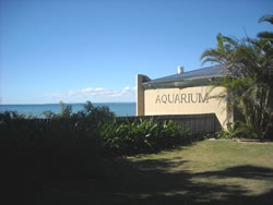 Reefworld Aquarium